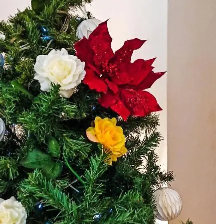 Hotel Plaza Caltanissetta